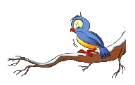 Avifauna humor